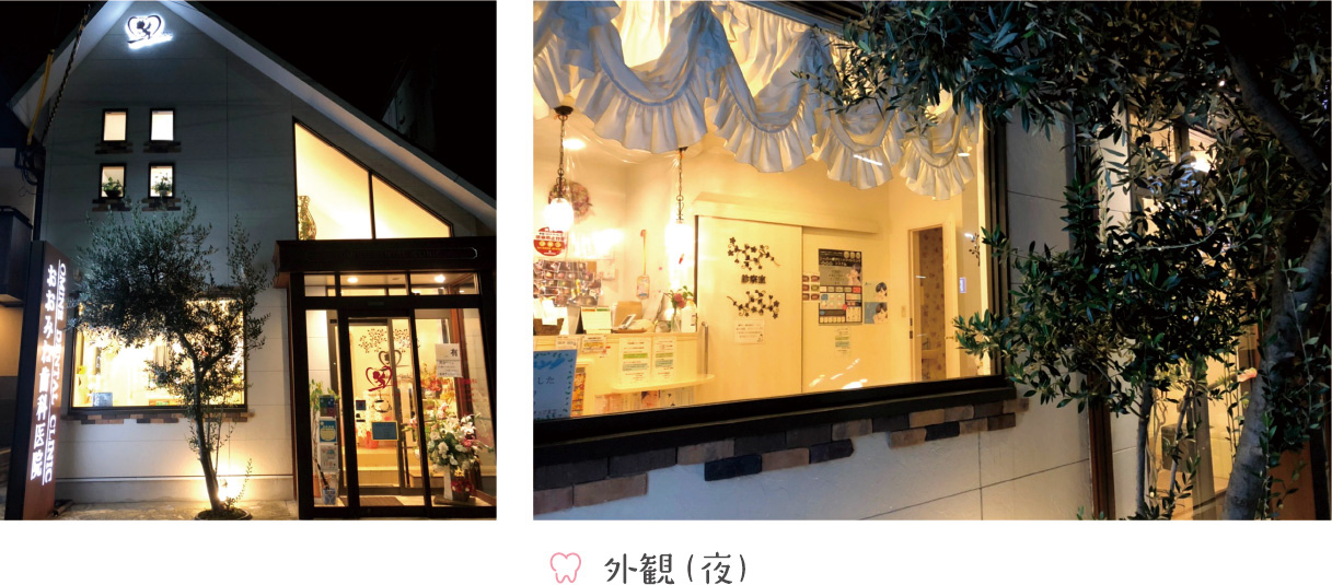 外観（夜）